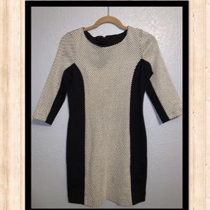 Banana Republic Dress   Size 4 petite